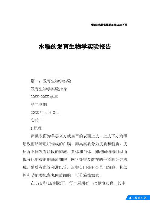 水稻的发育生物学实验报告
