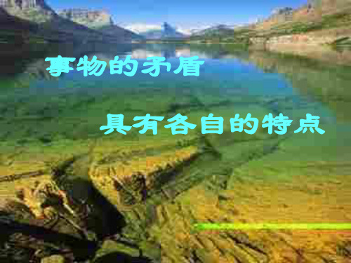 事物的矛盾具有各自的特点PPT教学课件