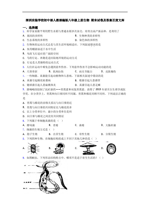 深圳实验学校初中部人教部编版八年级上册生物 期末试卷及答案百度文库