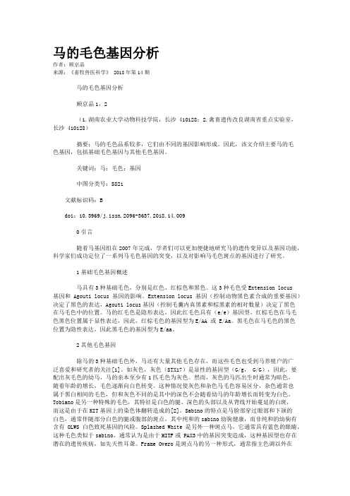 马的毛色基因分析
