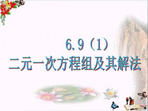 上海市松江区六年级数学下册6.9二元一次方程组及其解法(1)精选教学PPT课件沪教版五四制