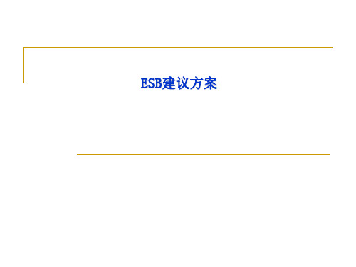 ESB方式的系统整合ppt课件