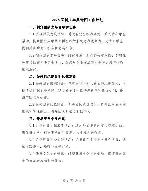 2023医科大学共青团工作计划
