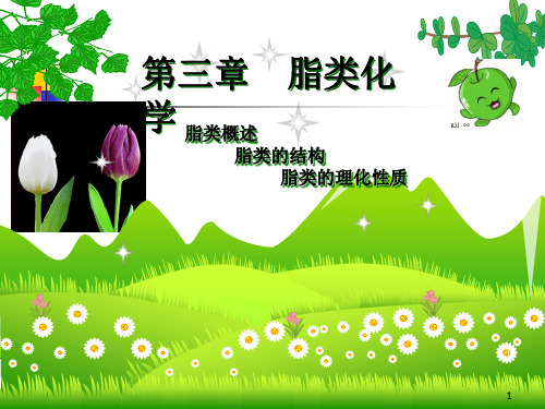 脂类化学ppt课件