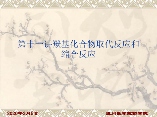 第十一讲羰基化合物取代反应和缩合反应