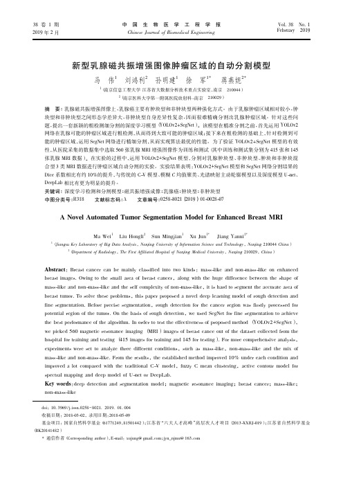 新型乳腺磁共振增强图像肿瘤区域的自动分割模型