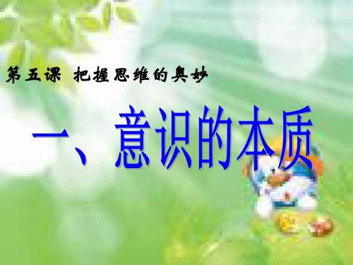 哲学第五课意识的本质