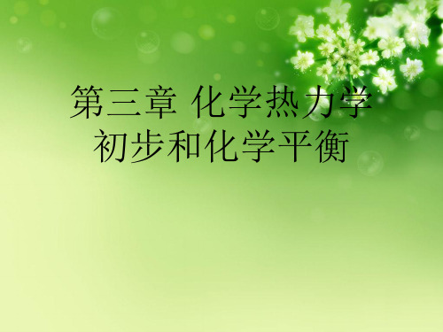 第三章 化学热力学初步和化学平衡优秀课件