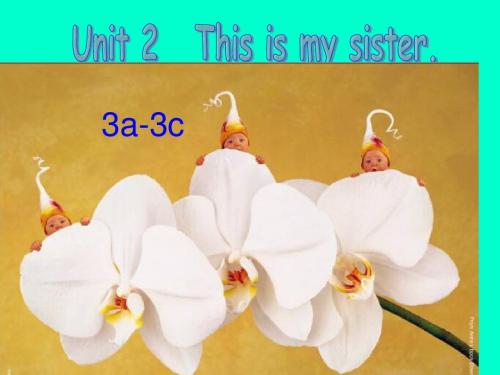 2015年新目标人教版七年级英语上册 Unit2  This is my sister《 Section A 3a-3c》课件2