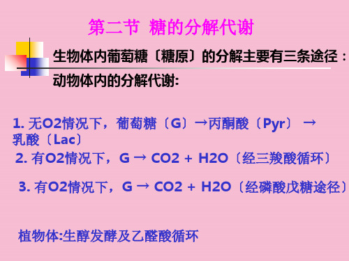 [工程科技]第八章 糖代谢ppt课件