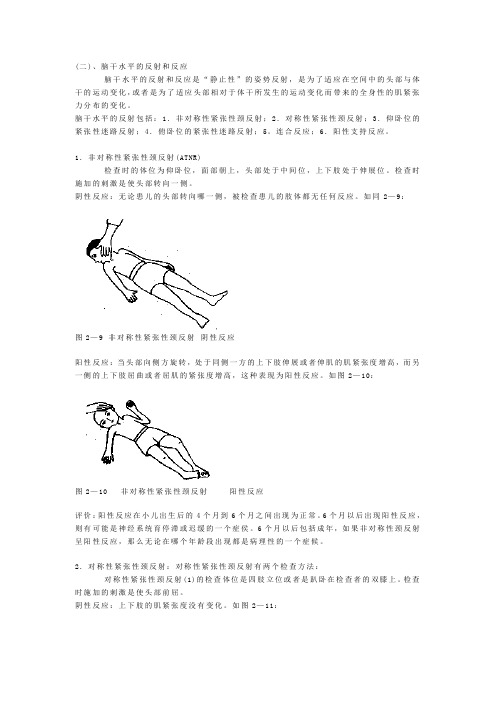 (二)、脑干水平的反射和反应