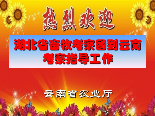 云南省畜禽遗传资源保护和利用情况介绍精品文档