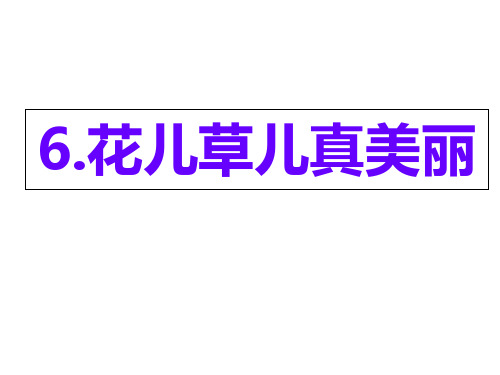 一年级下册道德与法治课件花儿草儿真美丽人教部编版PPT