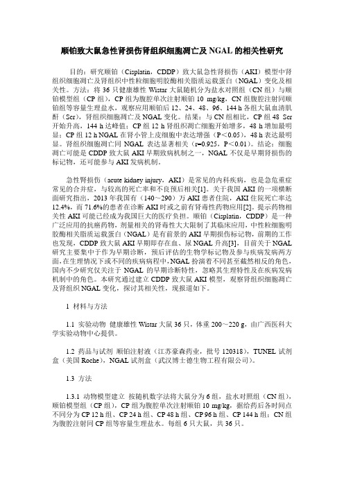 顺铂致大鼠急性肾损伤肾组织细胞凋亡及NGAL的相关性研究