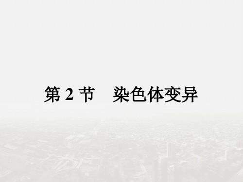 2017-2018学年高中生物人教版必修二课件：5.2染色体变异
