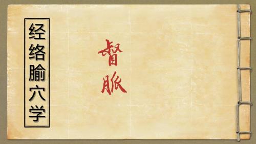 督脉详解