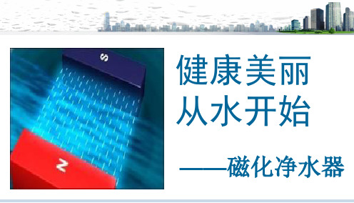磁化水