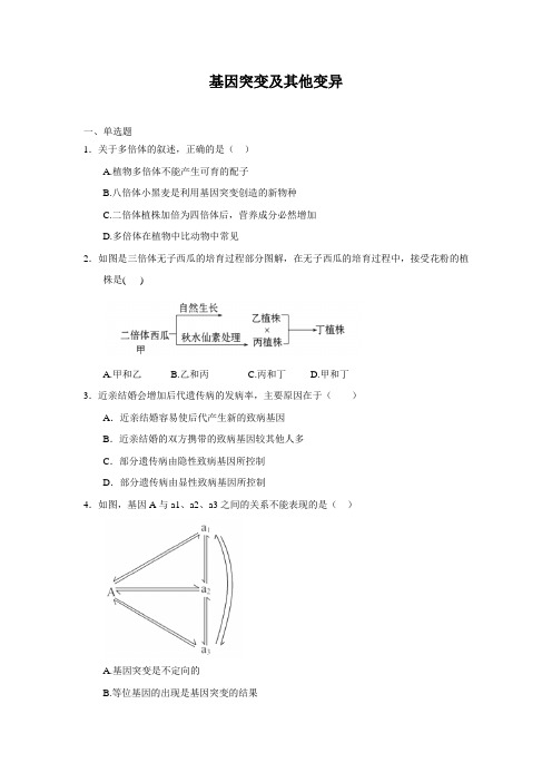 基因突变及其他变异单元测试17(人教版必修2)