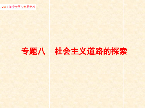 2019年中考历史专题复习专题八社会主义道路的探索