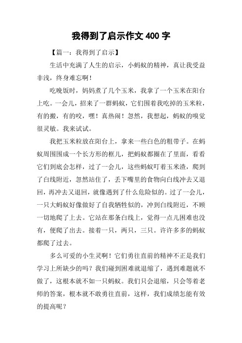 我得到了启示作文400字