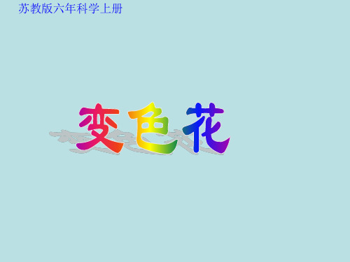 六年级上册科学课件-3.3 变色花｜苏教版(共23张PPT)