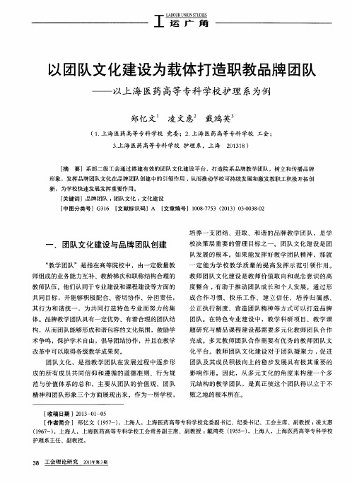以团队文化建设为载体打造职教品牌团队——以上海医药高等专科学校护理系为例