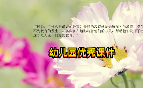 大班科学《工具用处大》PPT课件