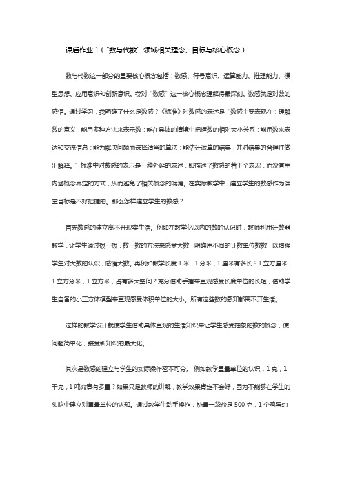 作业(作业“数与代数”领域相关理念、目标与核心概念)
