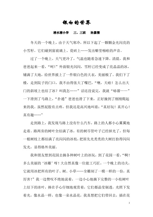 银白的世界