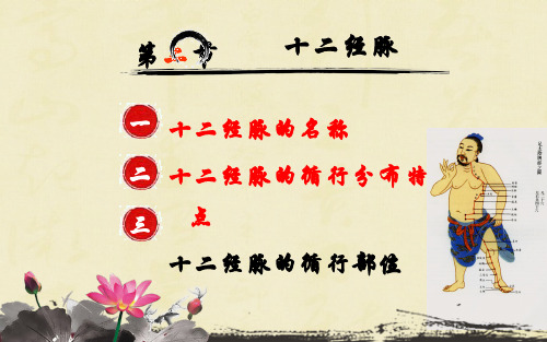 中医基础理论(5.4)--十二经脉