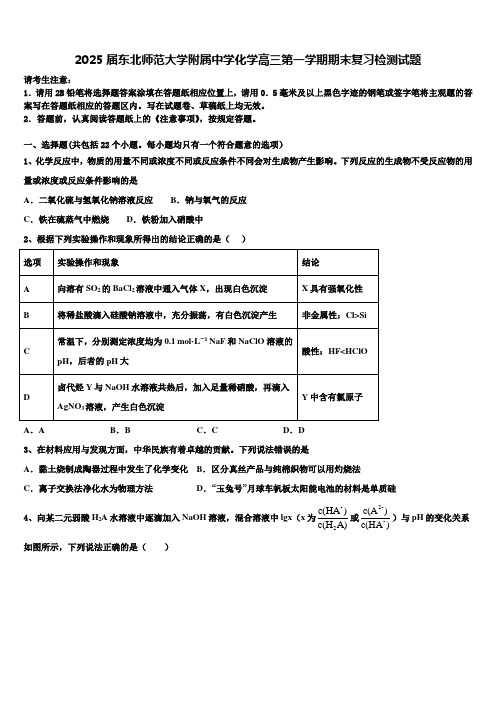 2025届东北师范大学附属中学化学高三第一学期期末复习检测试题含解析