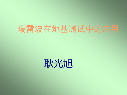 瑞雷波在地基测试中的应用