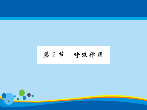 5.2 呼吸作用 2020秋北师大版七年级上册生物习题课件