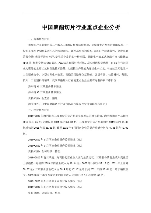 中国聚酯切片行业重点企业分析