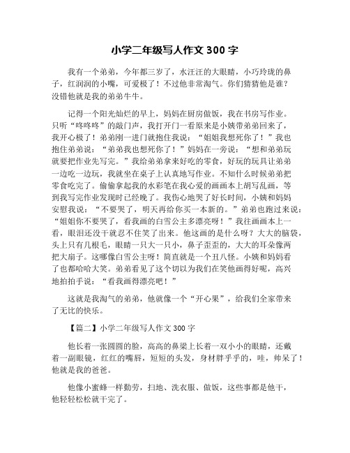小学二年级写人作文300字