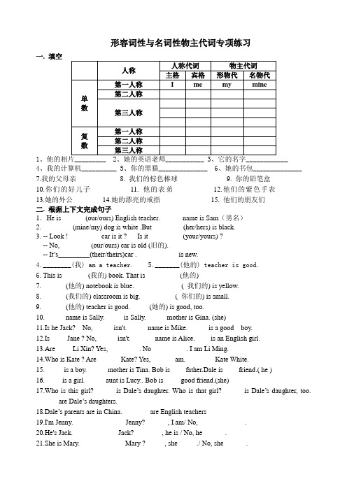 物主代词专项训练