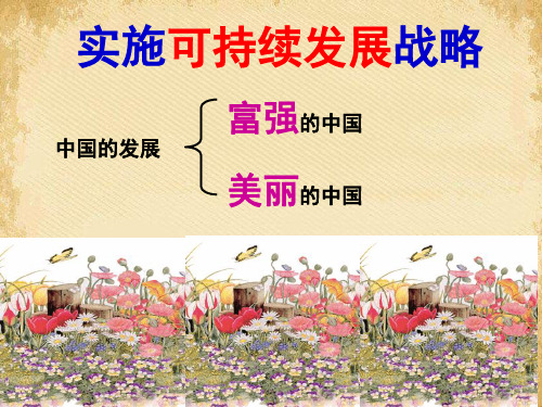 实施可持续发展战略PPT课件34 课件下载