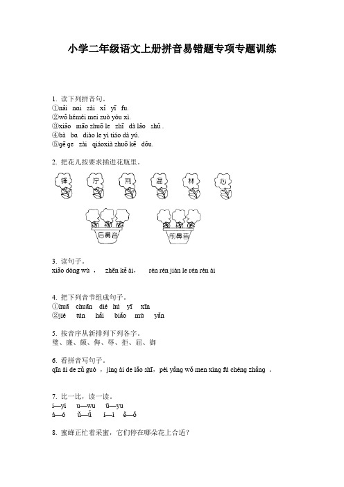 小学二年级语文上册拼音易错题专项专题训练