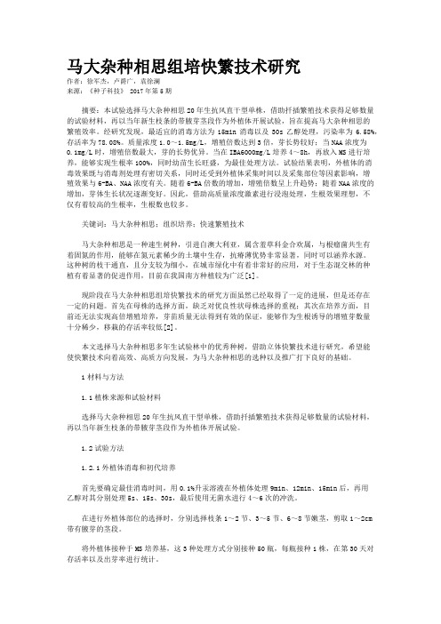 马大杂种相思组培快繁技术研究