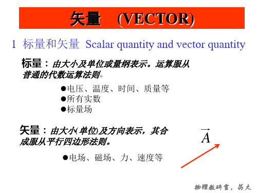 大学物理：矢量  (VECTOR)