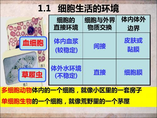 高二生物必修三课件：1.1 细胞生活的环境 (共15张PPT)