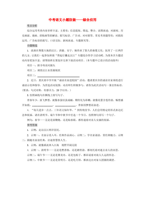 2020年中考语文小题狂做综合应用