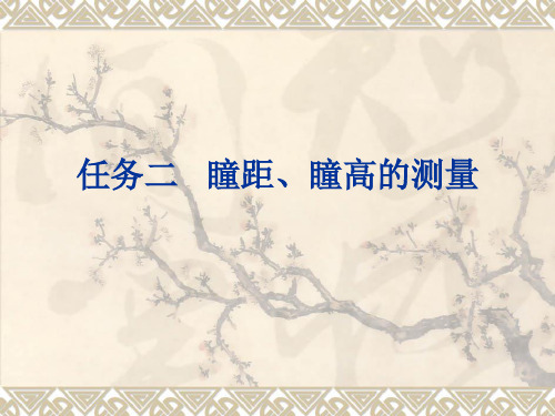 15瞳距瞳高测量