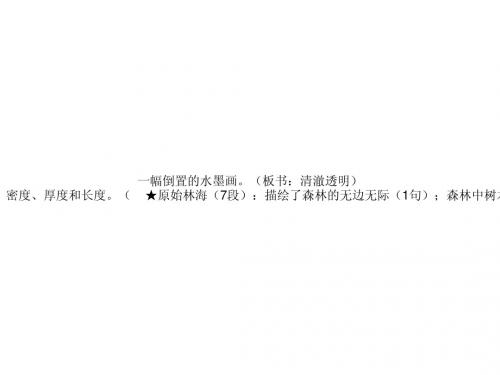 阿里山纪行D