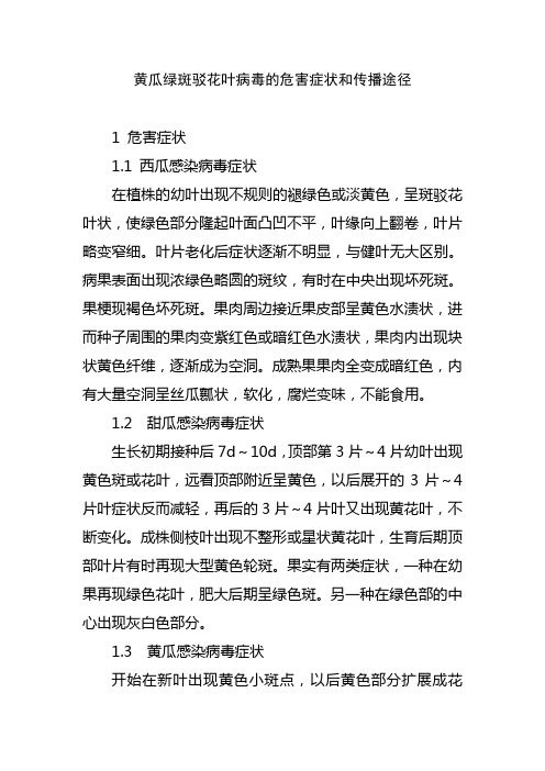 黄瓜绿斑驳花叶病毒的危害症状和传播途径