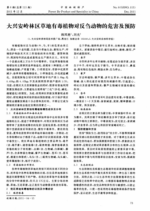 大兴安岭林区草地有毒植物对反刍动物的危害及预防