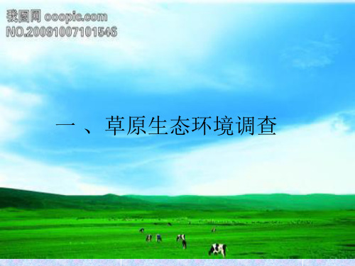 第一课_、草原生态环境PPT课件