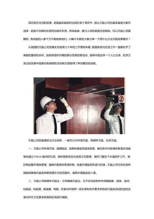 灭鼠公司如何有效灭鼠？