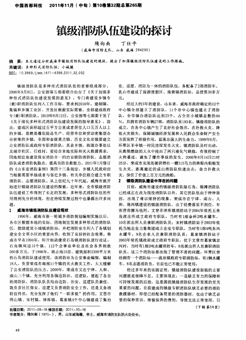 镇级消防队伍建设的探讨