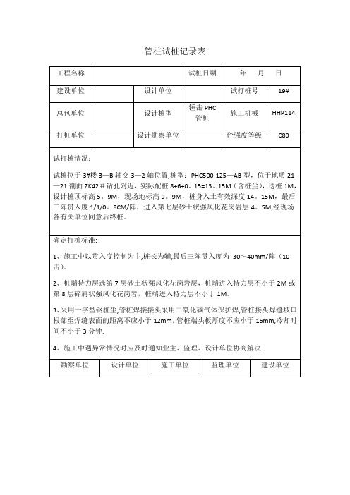 试桩记录表